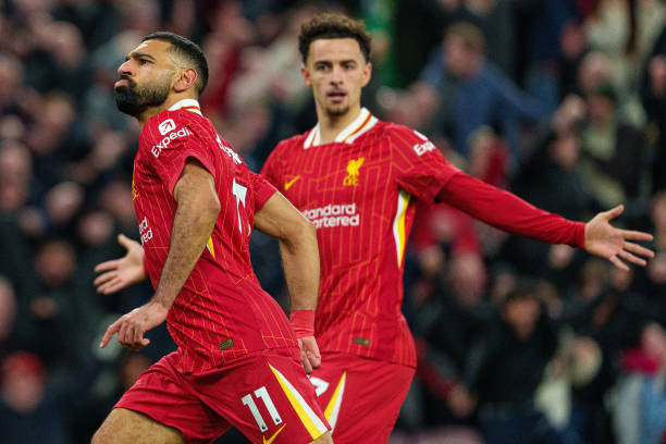 分析和判断 分析和判断