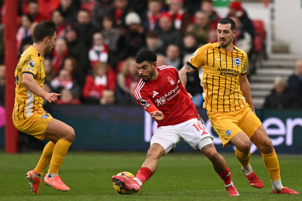 这一消息不 这一消息不