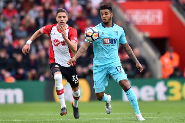 高芙的智慧 高芙的智慧