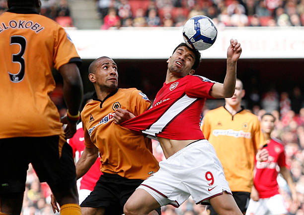 适时放走维 适时放走维